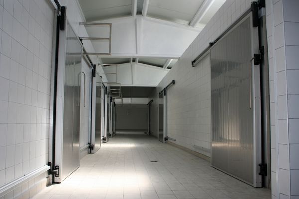 Food warehouse cooler room
