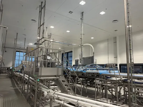 Grieg Seafood food processing - Image 5