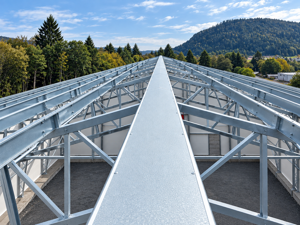 Roof purlins